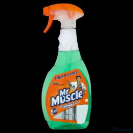 MR.MUSCLE płyn do szyb 500ml z rozpylaczem zielony *139266