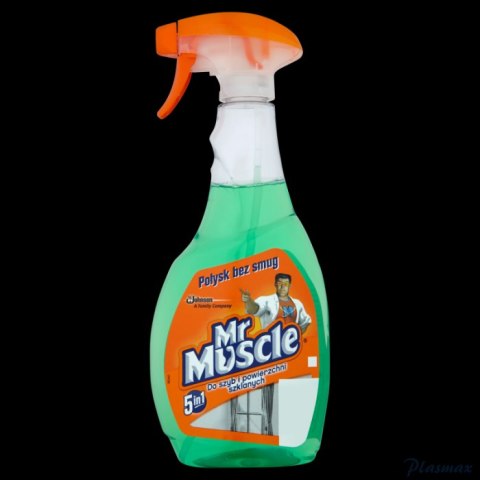 MR.MUSCLE płyn do szyb 500ml z rozpylaczem zielony *139266