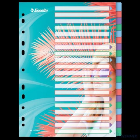 Przekładki ColourBreeze PP A4, 20 przekładek Esselte 628502