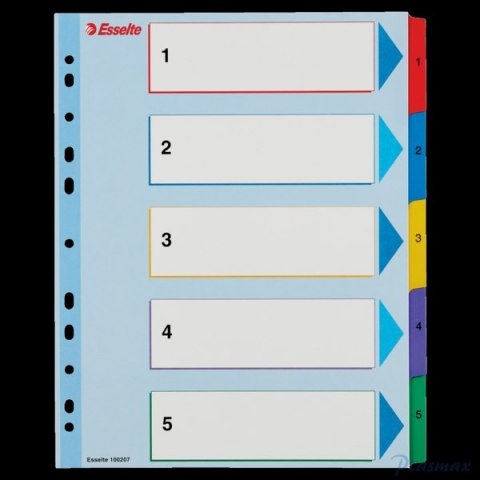 Przekładki kartonowe MYLAR A4 MAXI 1-5 ESSELTE 100207