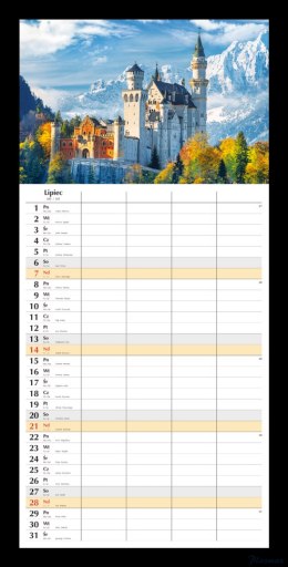 Planer miesięczny 2024 Michalczyk i Prokop T-108S-1 kalendarz ścienny
