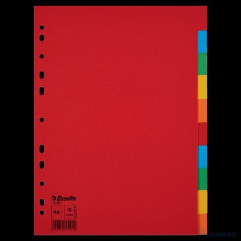 Przekładki karton A4 10 kart ESSELTE 100201 kolorowe bez karty opisowej