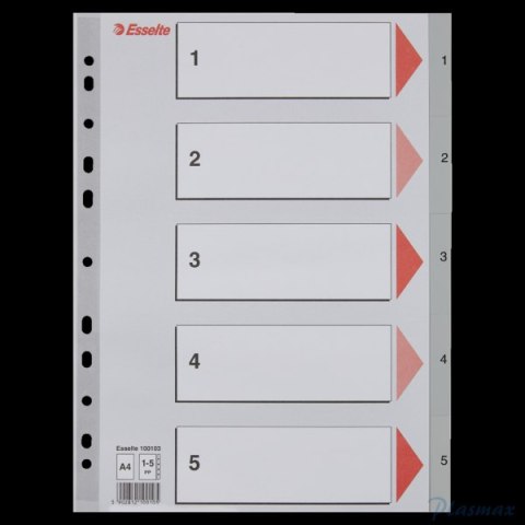 Przekładki plastikowe szare PP A4 1-5 100103 numeryczne ESSELTE