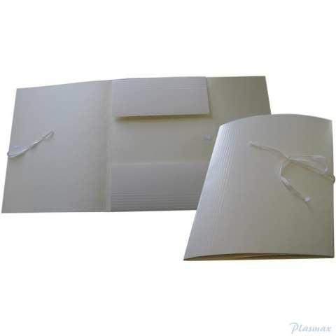 Teczka do archiwizacji bezkwasowe 250x320x35 WARTA wiązana 1824-331-030