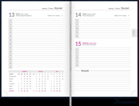 Kalendarz TOP 2000 BASIC 2024 A5 dzienny ciemnozielony 400177480