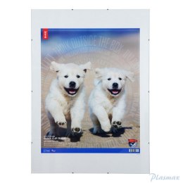 Antyrama szkło B2 50x70 MAN050070-47