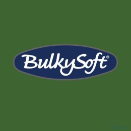 Serwetki BULKYSOFT 24x24mm 2 warstwy zielony (100szt)