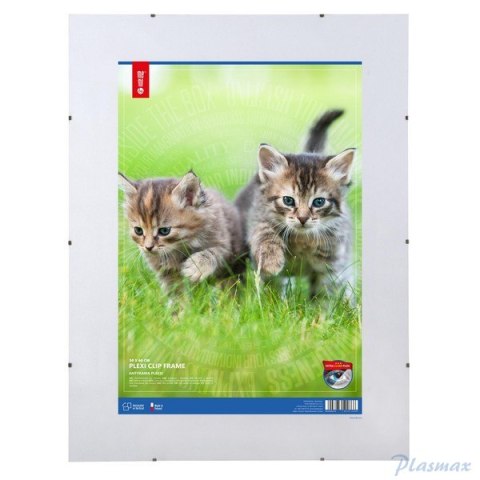 Antyrama plexi 500x600mmm ANP50x60 MEMOBOARDS