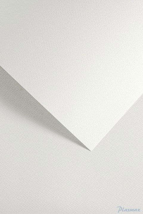 Karton ozdobny SAWANNA biały (20) 200g/m2 204801 ARGO