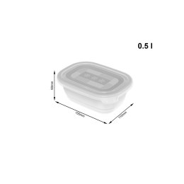 Rotho Freeze zestaw pojemników do mrożenia 4 x 0,5l