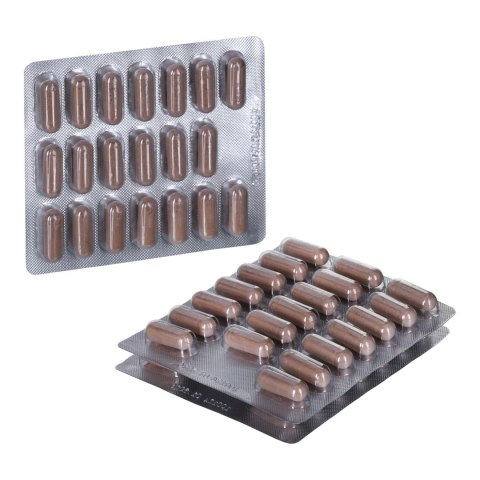 Novativ Feminova+ 60 kapsułek