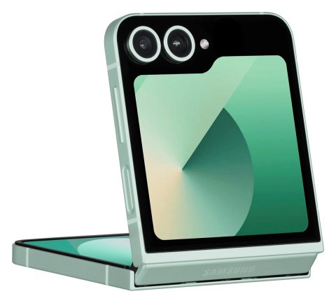 Samsung Galaxy Z Flip 6 (F741B) 5G 12/256GB Mint