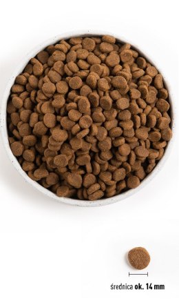 ORIJEN Senior Dog 11.4kg