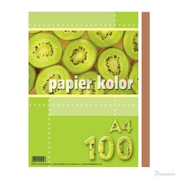 Papier xero A4 brązowy (100 arkuszy) KRESKA