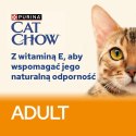 PURINA Cat Chow Kurczak, cukinia - mokra karma dla kota - 10x85 g