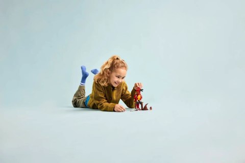 LEGO HARRY POTTER 76448 FAWKES™: DUMBLEDORE'S PHOENIX