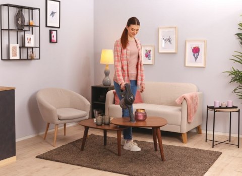 Hoover HF1 HF103X 011 Pionowy odkurzacz Bateria Suchy Tkanina Bez worka 0,9 l 170 W Tytan