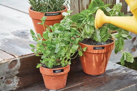 DYMO D1 - Durable Etykiety -Czarno na białym - 12mm x 5.5m