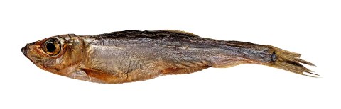 PETITTO Szprotki suszone przysmak dla psa 1kg