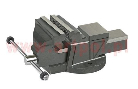 Imadło ślusarskie stałe żeliwne 125mm/AR