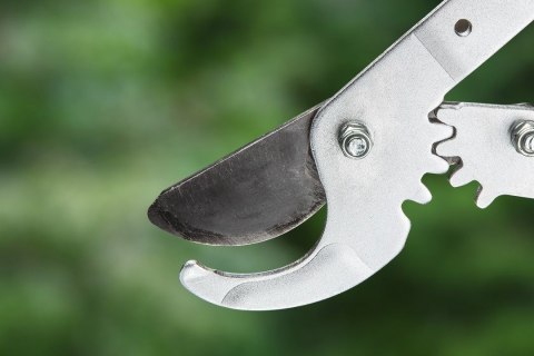 Verto 15G256 Sekator ogrodowy do gałęzi