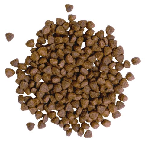 BULT Karma sucha z kaczką i indykiem szczeniąta 3kg