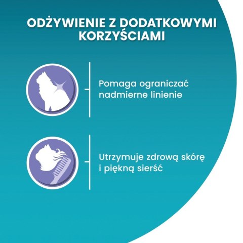 PURINA One Bifensis Coat & Hairball Kurczak - sucha karma dla kota - 800 g