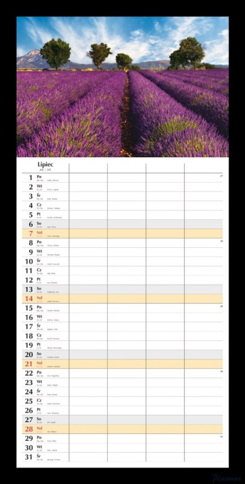 Planer miesięczny 2024 Michalczyk i Prokop T-108S-2 kalendarz ścienny