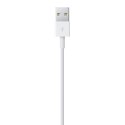 Apple Lightning to USB Cable (1m)