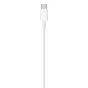 Apple USB-C to Lightning Cable (1 m)