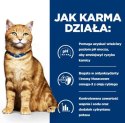 Hill's PD c/d urinary care, chicken, dla kota 3 kg