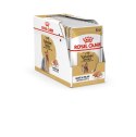 ROYAL CANIN BHN Yorkshire Terrier Adult - mokra karma dla psa dorosłego - 12x85g