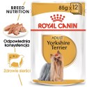 ROYAL CANIN BHN Yorkshire Terrier Adult - mokra karma dla psa dorosłego - 12x85g