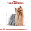 ROYAL CANIN BHN Yorkshire Terrier Adult - mokra karma dla psa dorosłego - 12x85g