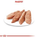 ROYAL CANIN CCN DERMACOMFORT LOAF mokra karma dla psa dorosłego - 12x85g