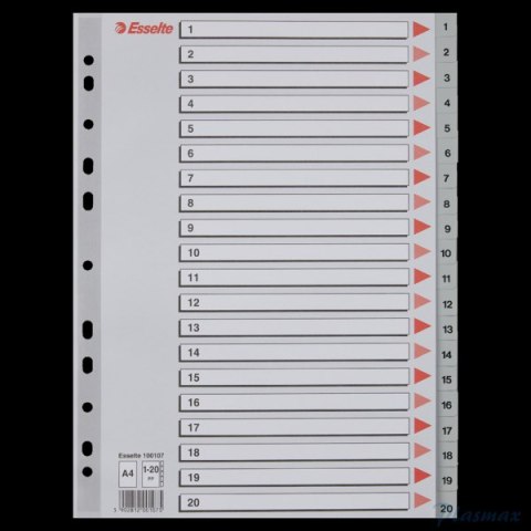 Przekładki plastikowe numeryczne A4 1-20 szare ESSELTE 100107