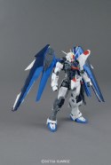 MG 1/100 FREEDOM GUNDAM VER.2.0 BL