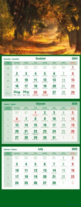 Kalendarz trójdzielny 2025 Las Michalczyk i Prokop T-105T-03
