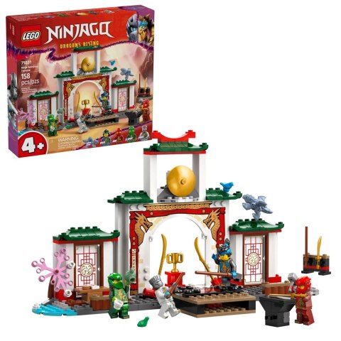 LEGO NINJAGO 71831