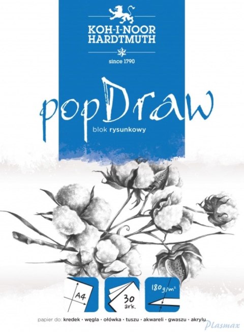 Blok rysunkowy POP DRAW A4 30 arkuszy 180g BLO-RYA4PO 9920/5