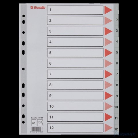 Przekładki plastikowe szare PP A4 1-12 100106 numeryczne ESSELTE